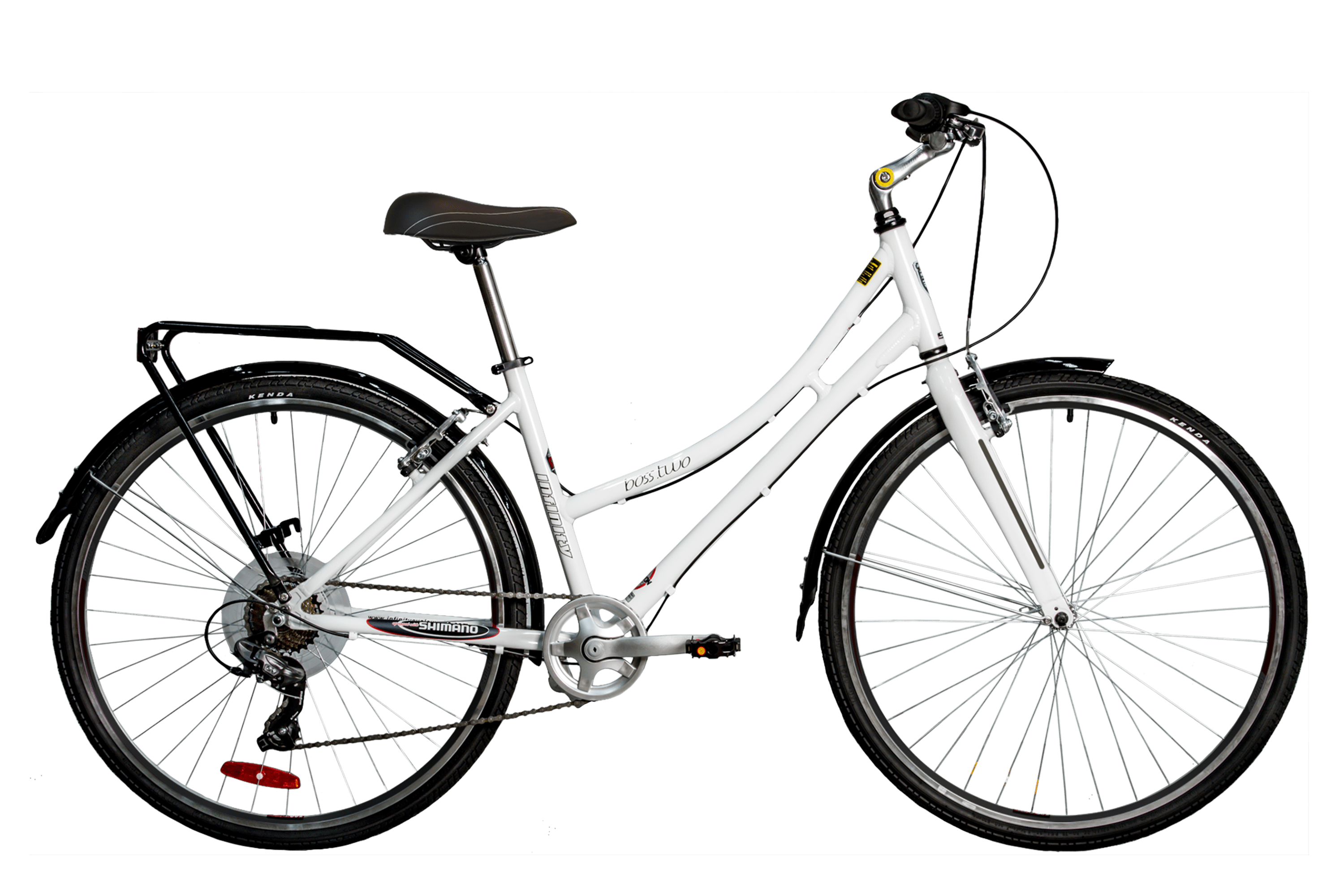 raleigh aluminium mountain bike